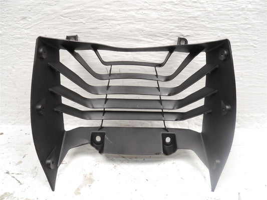 KTM RC125 2014-2016 RADIATOR GUARD