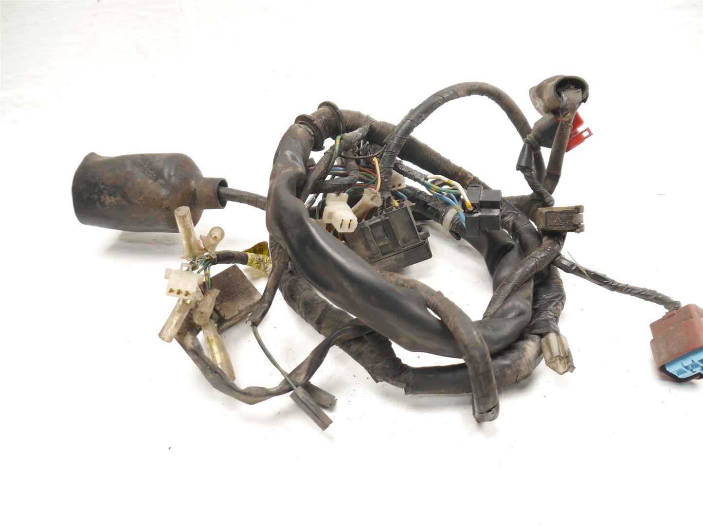 HONDA CBF 250 2004-2008 MAIN WIRING LOOM