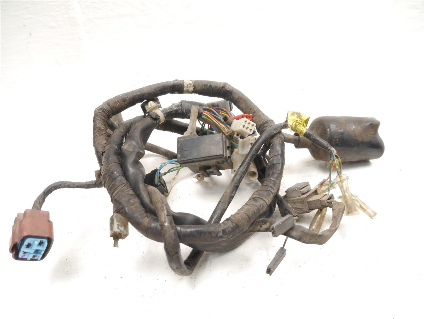 HONDA CBF 250 2004-2008 MAIN WIRING LOOM