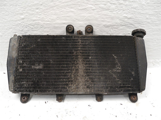 TRIUMPH DAYTONA 955i 2002-2006 RADIATOR & FAN