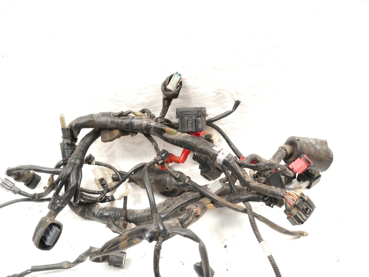 YAMAHA XSR125 2021-2026 MAIN WIRING LOOM