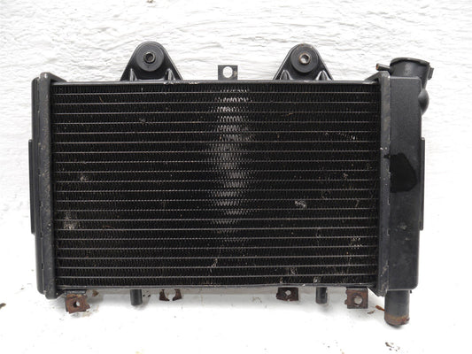 TRIUMPH TROPHY 900 1996-2001 RADIATOR