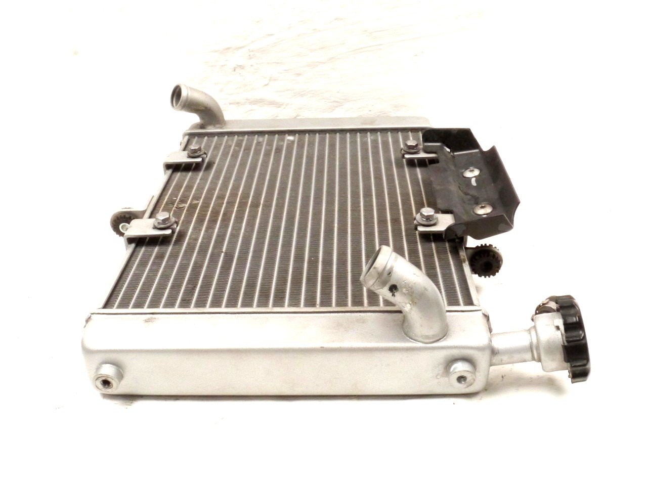 BENELLI 502 C RADIATOR