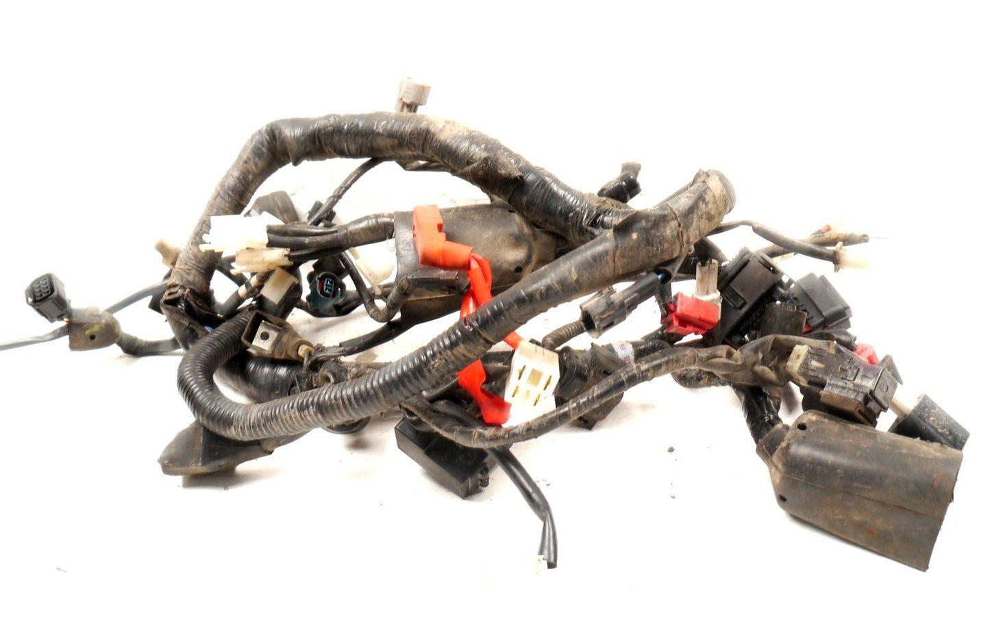 YAMAHA XSR125 2021-2026 MAIN WIRING LOOM