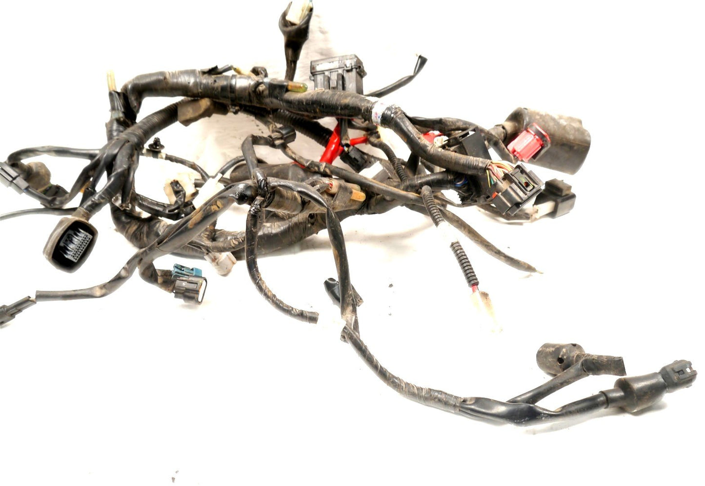 YAMAHA XSR125 2021-2026 MAIN WIRING LOOM