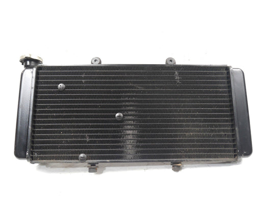APRILIA CAPONORD ETV 1000 2001-2004 RADIATOR
